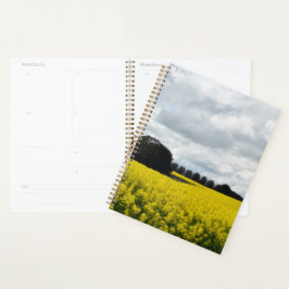 Agenda Ondas Douradas de Streatham
