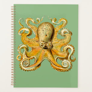Agenda Orador Espiral Azul e Octopus Dourado