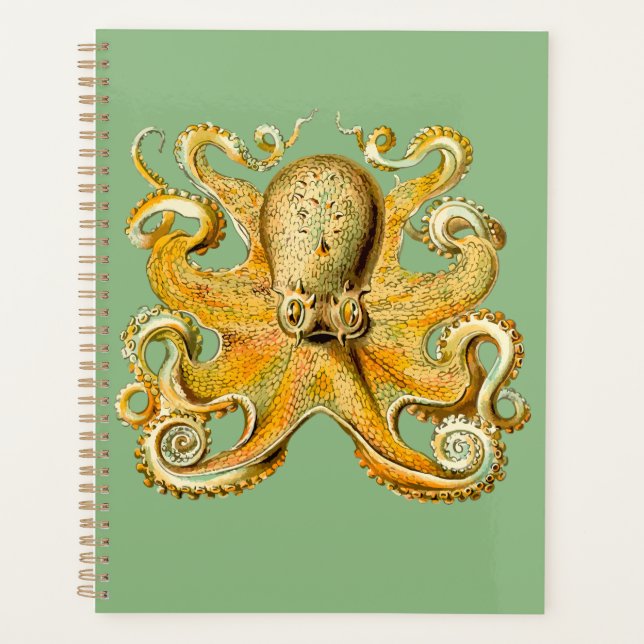Agenda Orador Espiral Azul e Octopus Dourado (Frente)