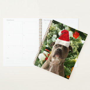 Agenda Ornamento de Árvores de Natal do Cão Pitbull Snowm