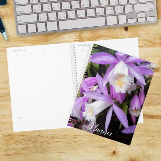 Agenda Orquídeas Florais Pleione de Peitoril (In Situ)