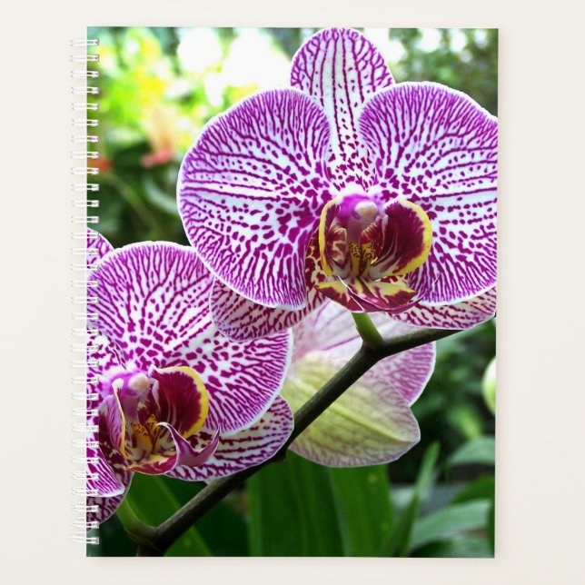 Agenda Orquídeas Roxas De Planner Lg (Frente)