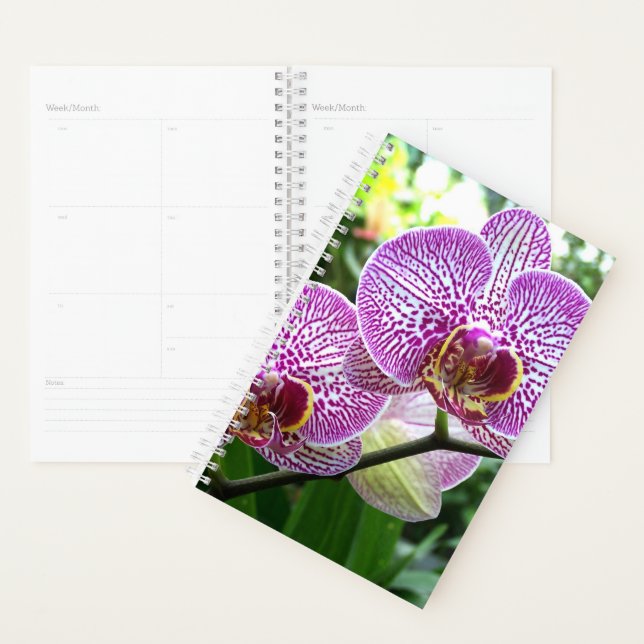 Agenda Orquídeas Roxas de Planner Sm (Exibição)