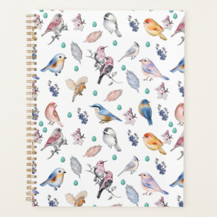 Agenda Padrão de Aves de primavera