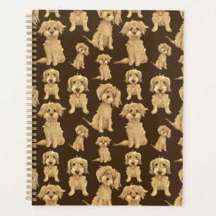 Agenda Padrão de Cachorro Marrom labradoodle goldendoodle
