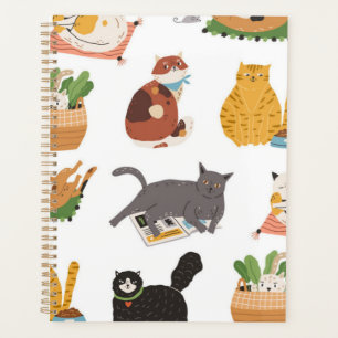 Agenda Padrão de Cat
