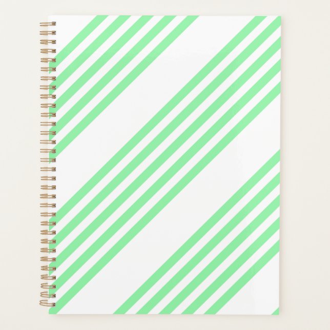 Agenda Padrão de cinco faixas verde e branco (Frente)