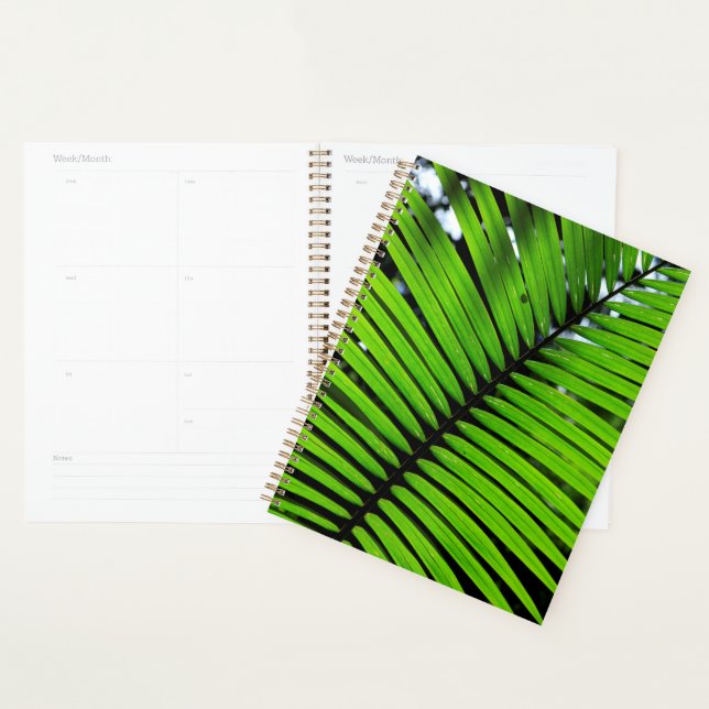 Agenda Padrão De Folhas De Samambaia (Exibição)