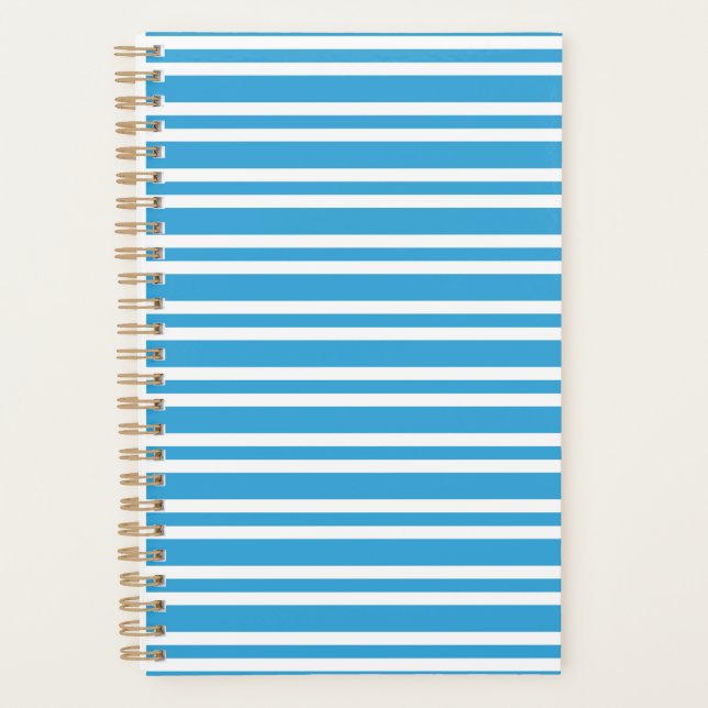 Agenda Padrão de Listras Brancas Azuis (Frente)