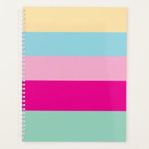 Agenda Padrão de Listras Coloridas