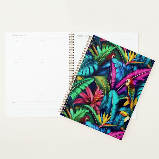 Agenda Padrão de Superfície Contínua Sonhos da Selva de A (Exibição)