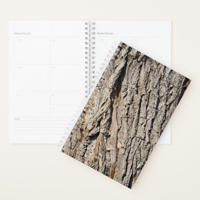 Agenda Padrão de tronco antigo (Exibição)