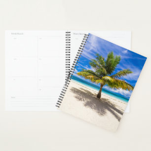 Agenda Palm na praia branca da areia