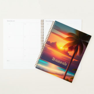 Agenda Palme am Strand bei Sonnenuntergang