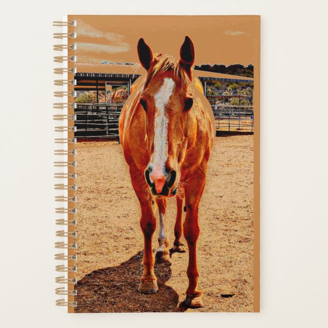 Agenda Palomino Horse Planner Diário (Frente)