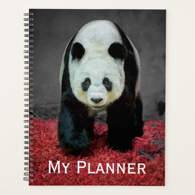 Agenda Panda Bear (Frente)