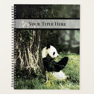 Agenda Panda come Bamboo