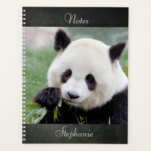 Agenda Panda gigante fotográfica do notebook, animais 01.