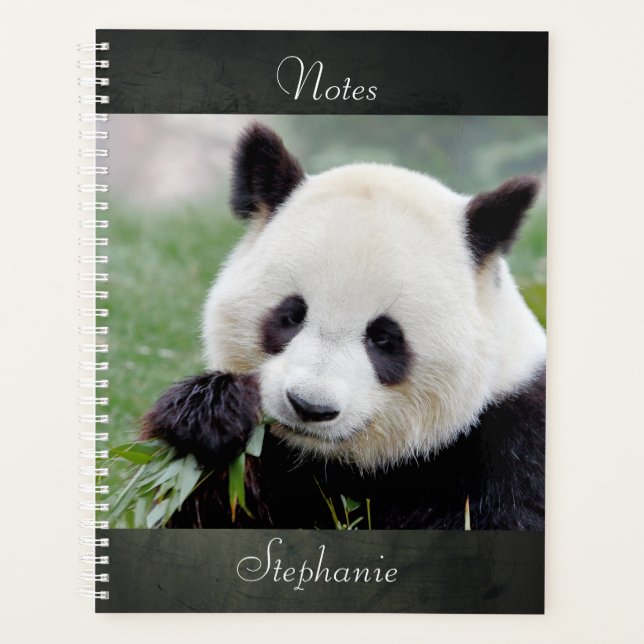 Agenda Panda gigante fotográfica do notebook, animais 01. (Frente)