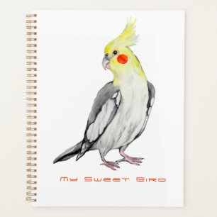 Agenda Papagaio Cockatiel de Cores Aquáticas.