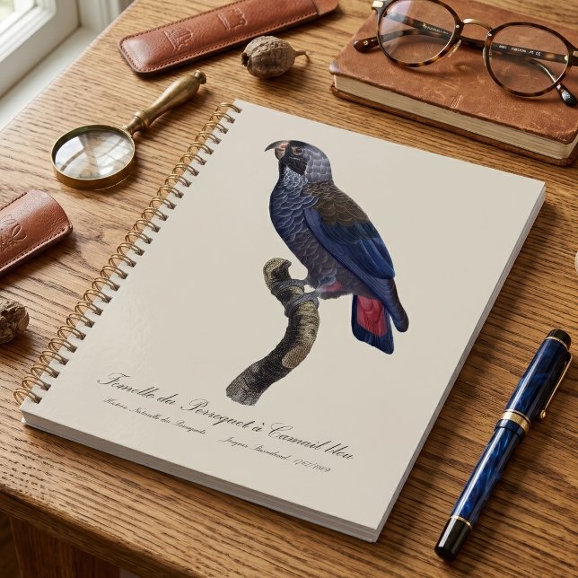 Agenda Papagaio-de-peito-roxo, Pionus fuscus (Dusky Parrot or Dusky Pionus, Pionus fuscus. Planner)