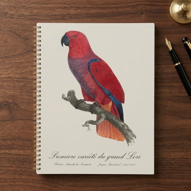 Agenda Papagaio Eclectus de Vosmaer, Eclectus Roratus Vos (Vosmaer Eclectus Parrot, Eclectus Roratus Vosmaeri. Planner)