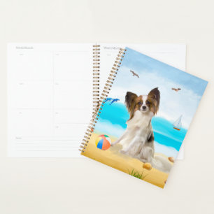 Agenda Papillon Dog na Praia