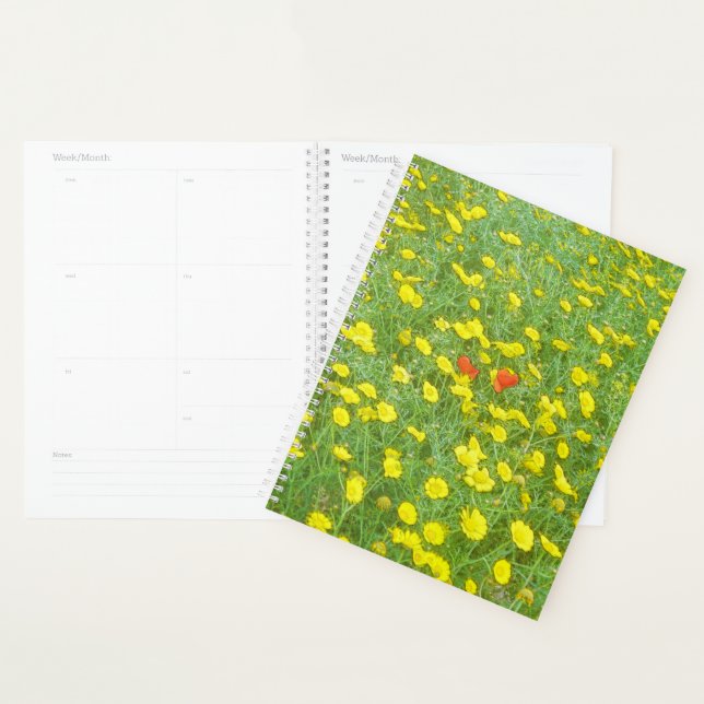 Agenda Papoilas aquáticas (Exibição)