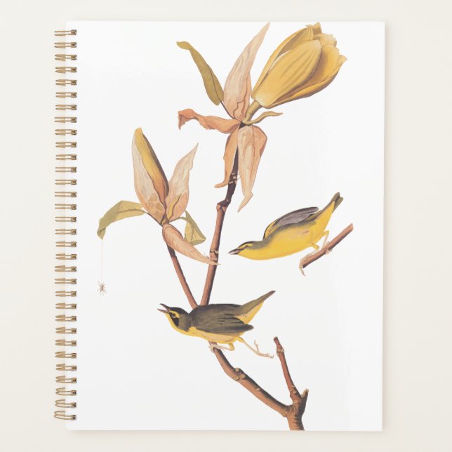 Agenda Par de passarinho do Kentucky - Audubon com aranha (Frente)