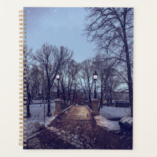 Agenda Parque da cidade de neve de inverno à noite