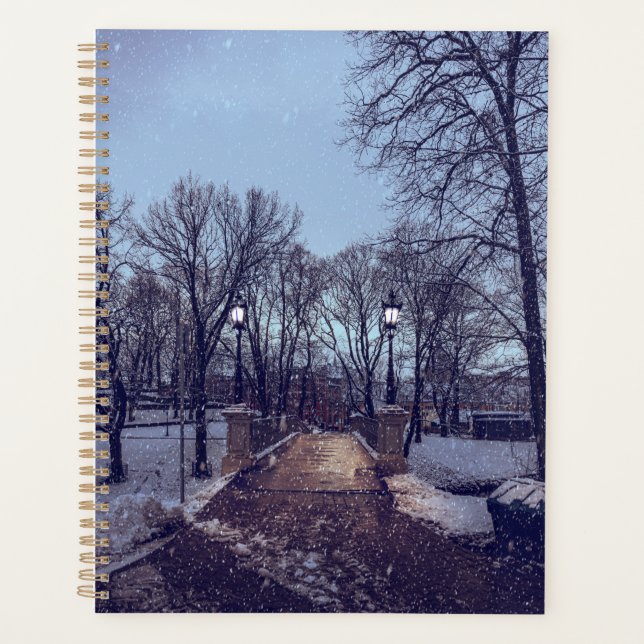 Agenda Parque da cidade de neve de inverno à noite (Frente)
