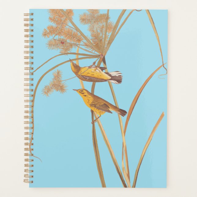 Agenda Pássaro Amarelo Audubon da Prairie Warbler (Frente)