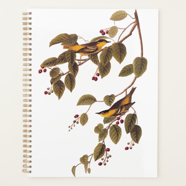 Agenda Pássaro Audubon de Warbler Carbonado (Frente)