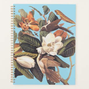 Agenda Pássaro Cuckoo Negro Cobrado