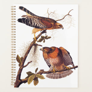Agenda Pássaro de Preia ruivo Hawk Audubon