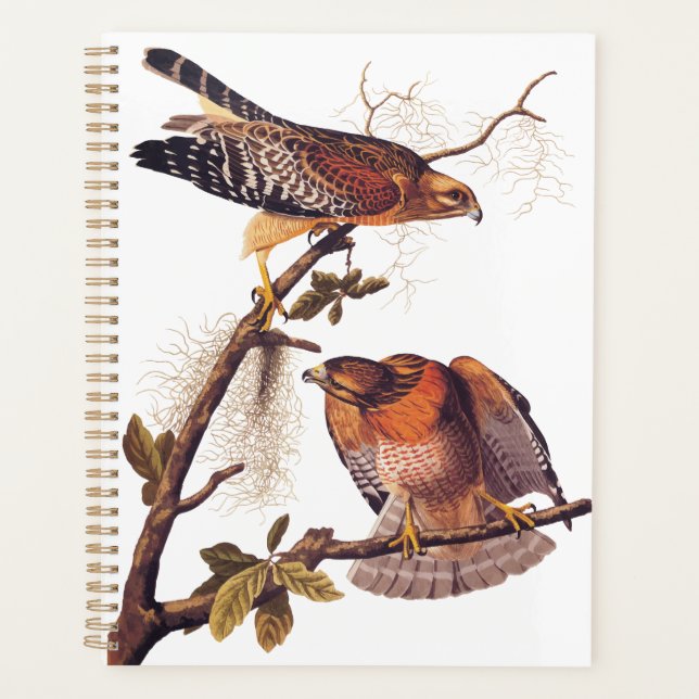 Agenda Pássaro de Preia ruivo Hawk Audubon (Frente)