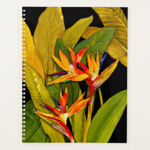 Agenda Pássaro do Paraíso