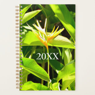 Agenda Pássaro do Paraíso