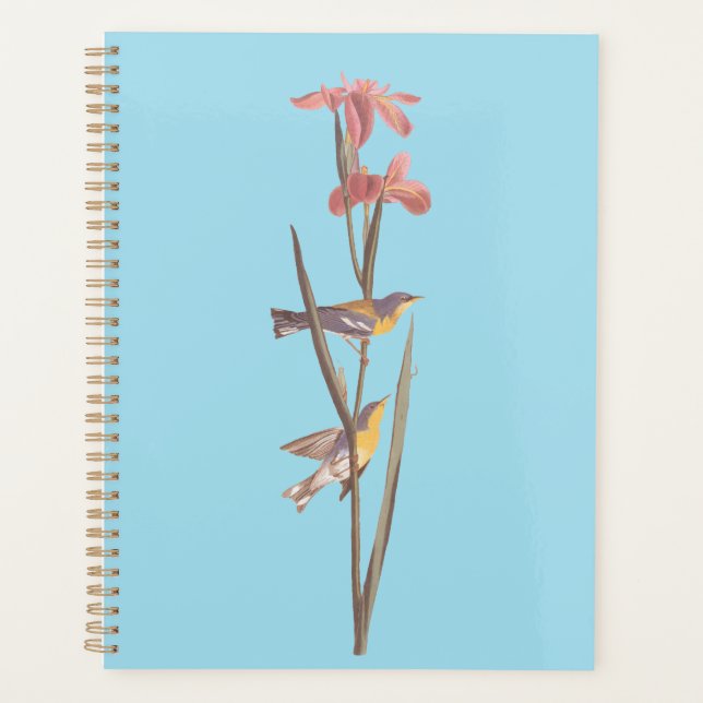 Agenda Pássaros da canção "Blue Yellowback" de Audubon (Frente)