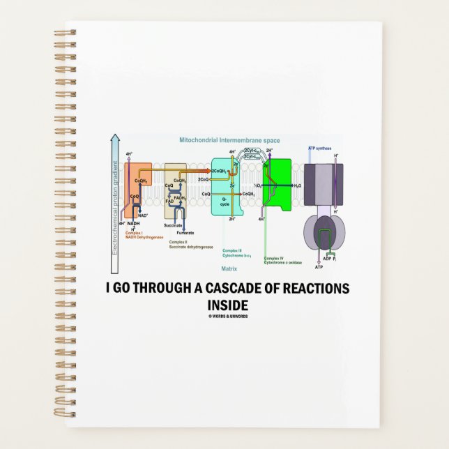 Agenda Passo Por Uma Dentro De Reações (Frente)