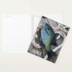 Agenda Pata de madeira de peixe azul náutico Foto costei