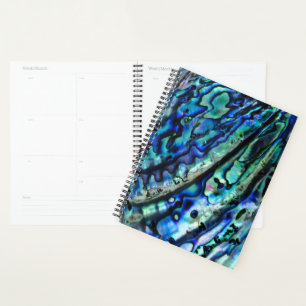Agenda Paua Abalone 2026 Iridescente