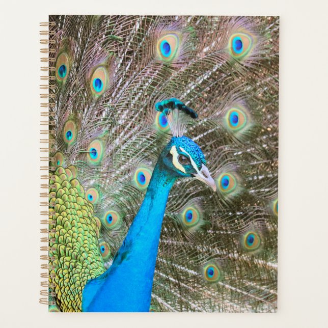 Agenda Pavão com penas banidas - Foto de aves selvagens (Frente)