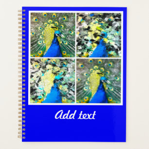 Agenda Peacock Art