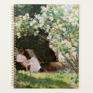 Agenda Peder Severin Kroyer - Rosas
