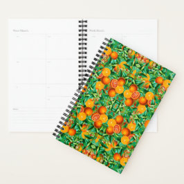 AGENDA PEDRA DE CORANAS TROPICAL