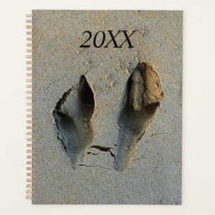 Agenda Pegadas Wallaby em Areia