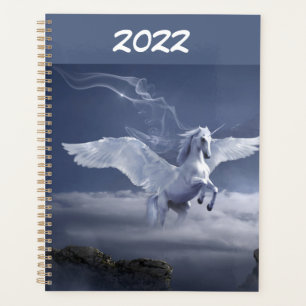 Agenda Pegasus no Voo