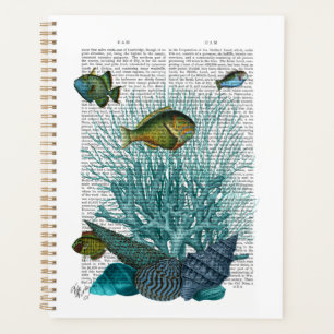 Agenda Peixes, Conchas Azuis e Corais