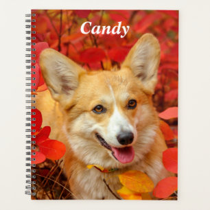Agenda Pembroke Welsh Corgi Puppy Dog em Folhas Vermelhas